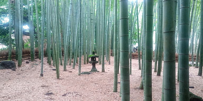 報国寺2