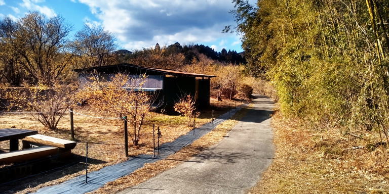 園内2