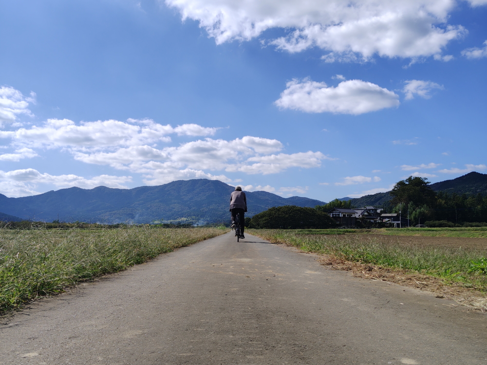このあたりは